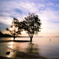 自动发货快速的电话呼叫软件网页版