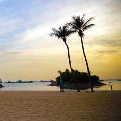 全平台兼容的短信测压api